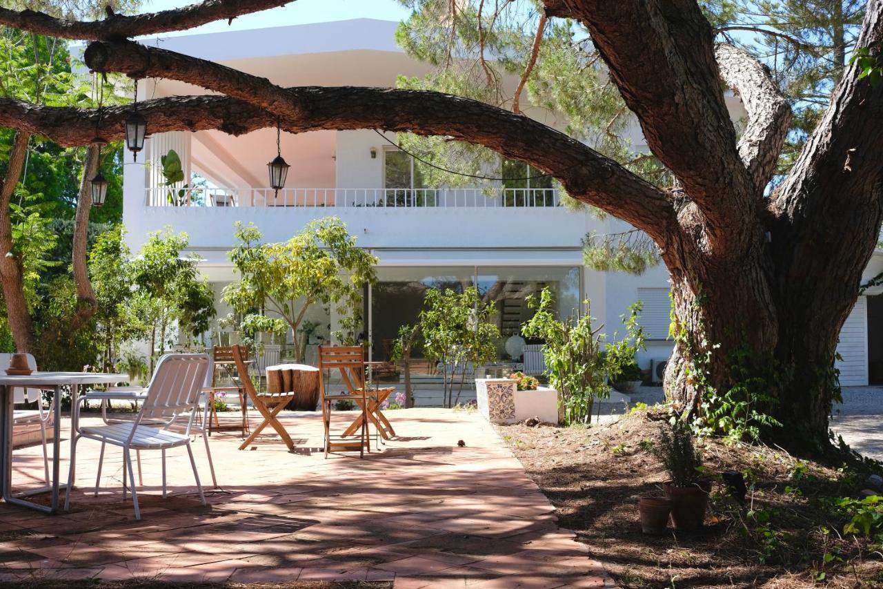 A Pausa Alvor Esterno foto